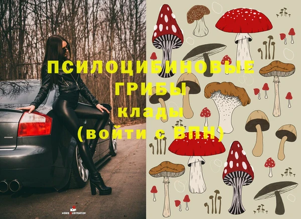 соль ск Мегион