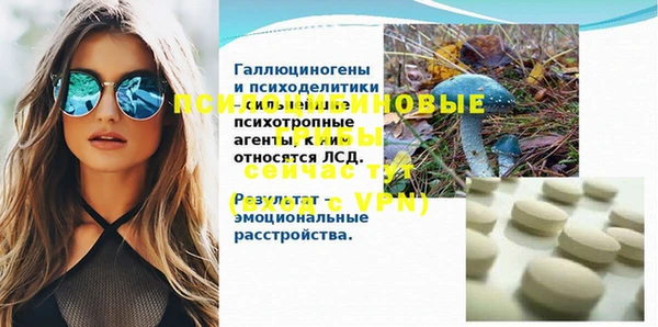 бошки Медногорск