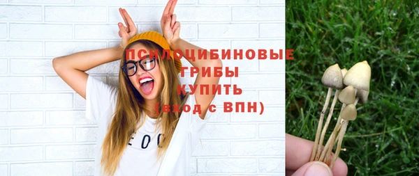бошки Медногорск