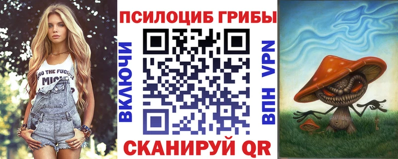 продажа наркотиков  Каневская  Псилоцибиновые грибы мицелий 